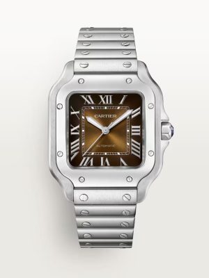 SANTOS DE CARTIER WATCH