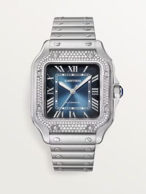 Santos de Cartier Black Venom