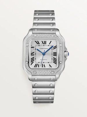 Panthère De Cartier Watch